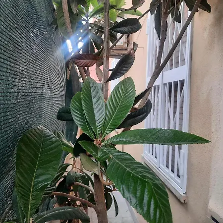 Nido Vidaschi Apartamento *